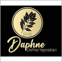 bhb daphne defne yaprakları