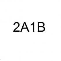 2a1b