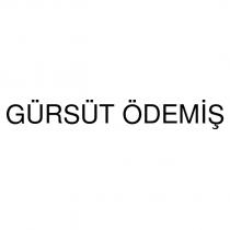 gürsüt ödemiş