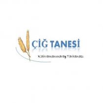 çiğ tanesi kahramanmaraş tarhanası