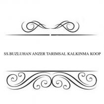 ss.buzluhan anzer tarımsal kalkınma koop.