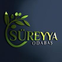 süreyya odabaş