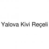 yalova kivi reçeli