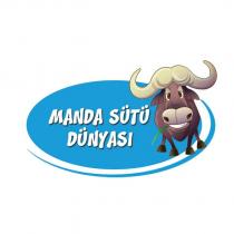 manda sütü dünyası
