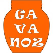 ga va noz