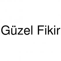 güzel fikir