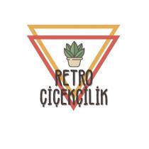 retro çiçekçilik