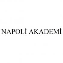 napoli akademi