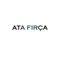 ata fırça