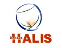 halis özkaya
