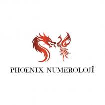 phoenix numeroloji