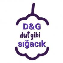 d&g dut gibi sığacık