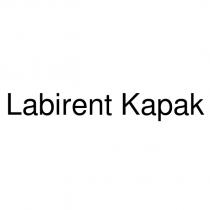 labirent kapak