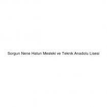 sorgun nene hatun mesleki ve teknik anadolu lisesi