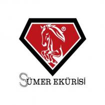 sümer ekürisi
