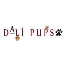 dali pups