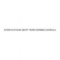 aydın kuyucak şehit tekin durmaz ilkokulu