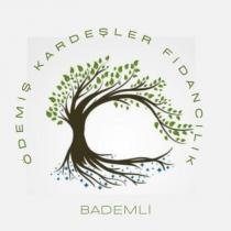 ödemiş kardeşler fidancılık bademli