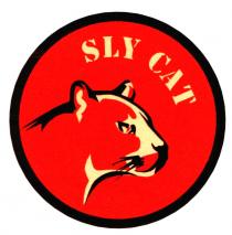 sly cat