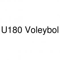 u180 voleybol