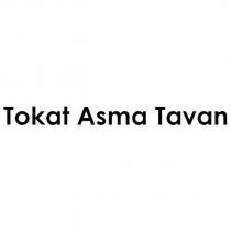 tokat asma tavan