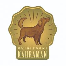 evinizdeki kahraman