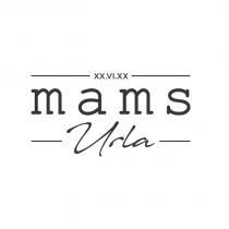 xx.vı.xx mams urla