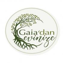 gaia'dan evinize
