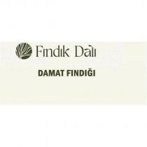 fındık dalı damat fındığı
