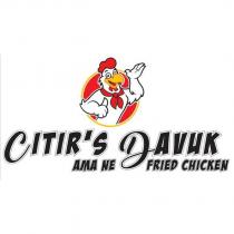 cıtır's davuk ama ne fried chicken
