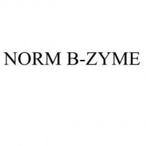 norm b-zyme
