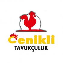 cenikli tavukçuluk