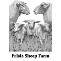 frisia sheep farm