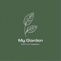 my garden dried fruit & vegetables
