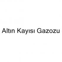 altın kayısı gazozu