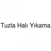 tuzla halı yıkama