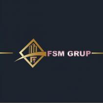 fsm grup