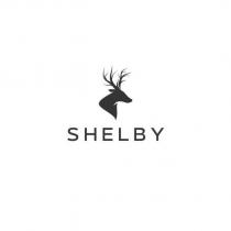 shelby