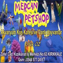 mercan petshop akvaryum kuş kafesi ve canlı hayvanlar ufuk öz zafer cad. kızılkanat iş merkezi no:63 kırıkkale gms:0544 577 24 87