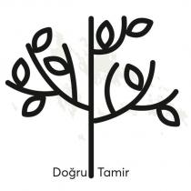 doğru tamir