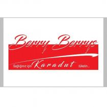 berry berrys sağlığınız için karadut tüketin