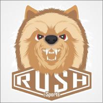 rush esports