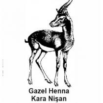 gazel henna kara nişan
