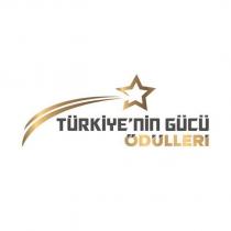 türkiye'nin gücü ödülleri