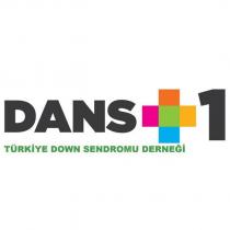 dans+1 türkiye down sendromu derneği