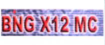 bing x12 mc