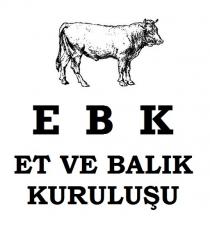 ebk et ve balık kuruluşu