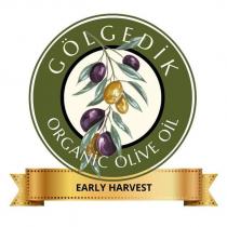 gölgedik organik olive oil early harvest