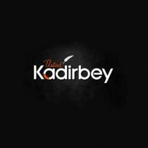 üstad kadirbey