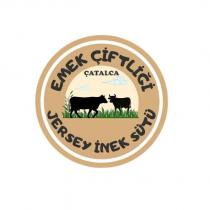 çatalca emek çiftliği jersey inek sütü